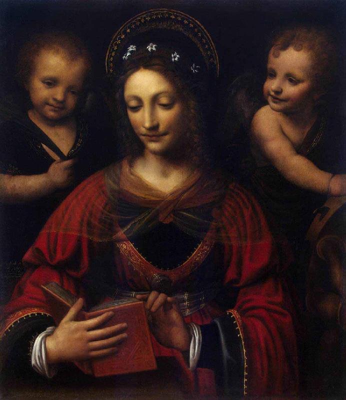 Bernardino Lanino Saint Catherine oil painting image